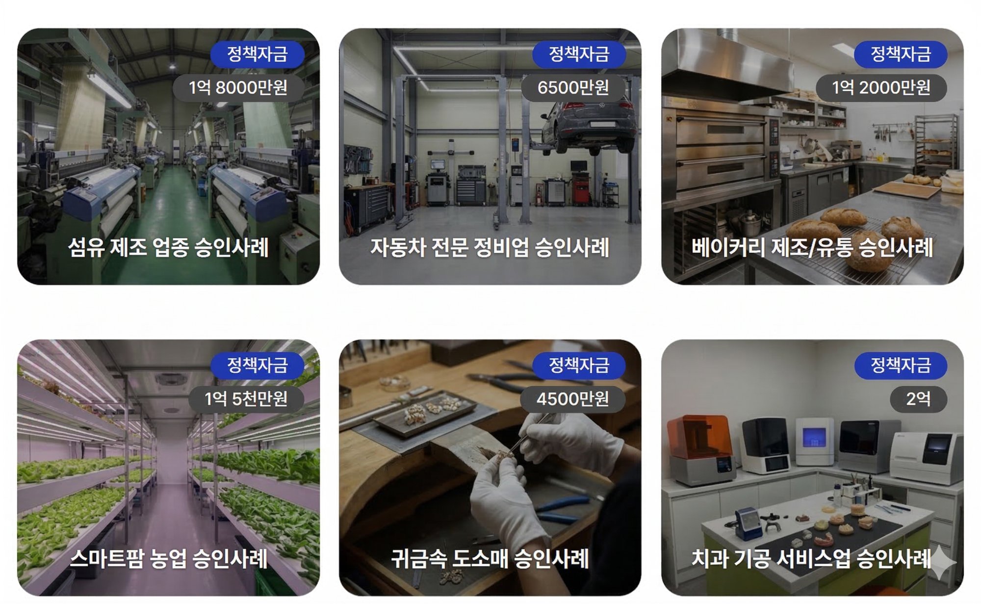 드림솔루션 주요 승인 사례 - 섬유제조, 자동차정비, 베이커리, 스마트팜, 귀금속, 치과기공
